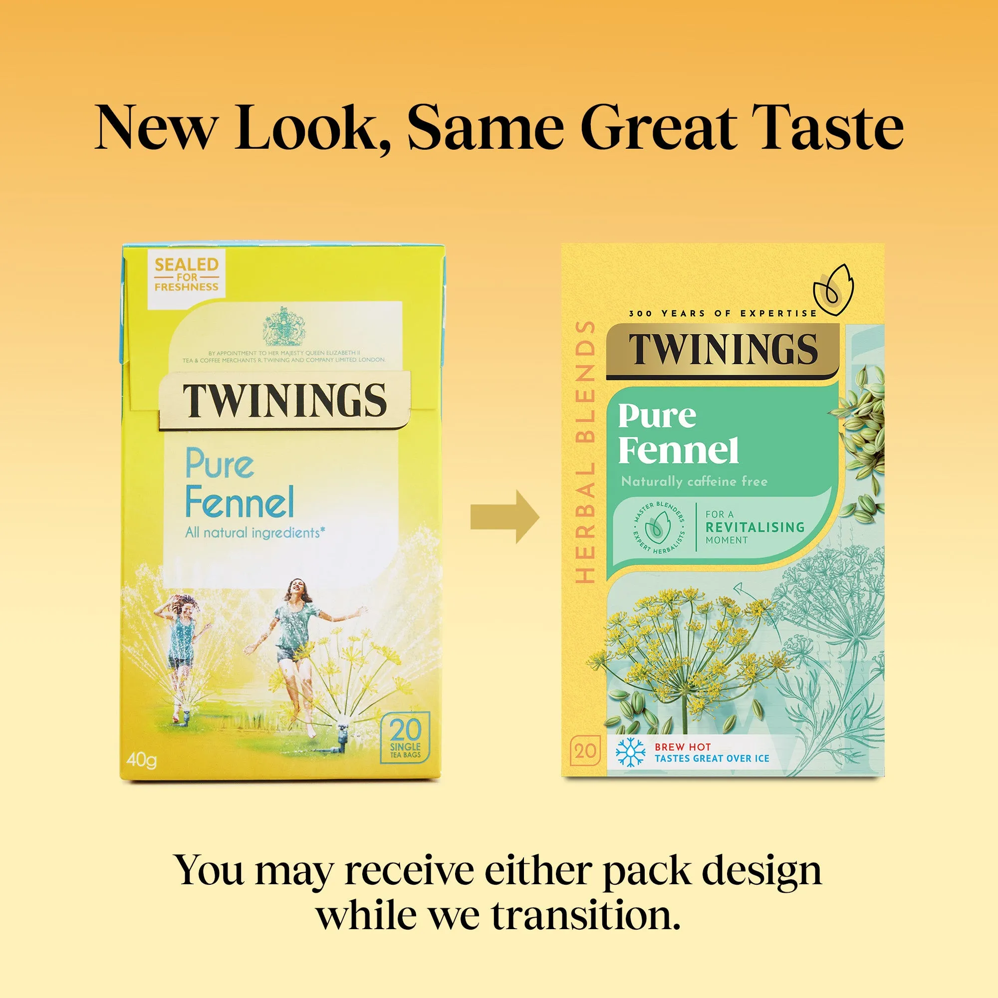 Pure Fennel - 20 Tea Bags