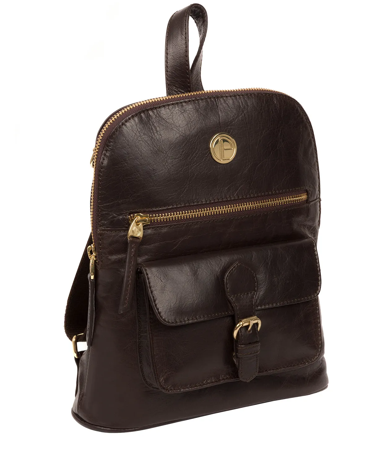 'Zinnia' Dark Brown Leather Backpack